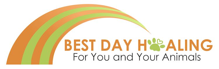  Lisa Brown: Best Day Healing For You and Your Animals